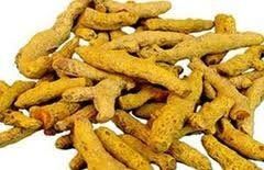 dry turmeric fingers