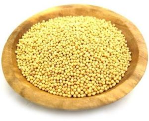 Yellow Mustard Seeds