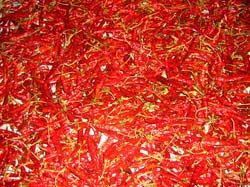 Teja Dried Red Chilli