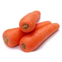 Fresh Carrot