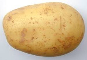 Potato