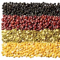 Indian Pulses