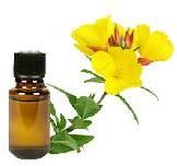 Evening Primrose Carrier Oil