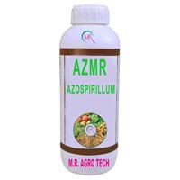 Azospirillum Bacteria