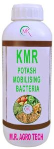 Potash Mobilizing Bacteria