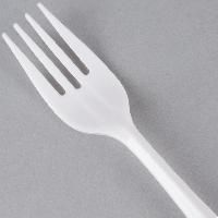 Plastic Fork