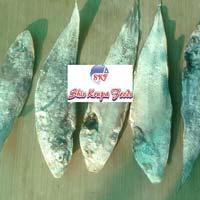Dry Sole Fish
