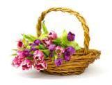 Flower Basket