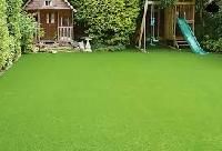 Artificial Lawn