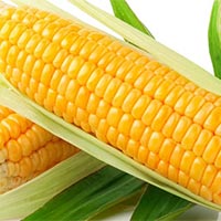 Yellow Corn