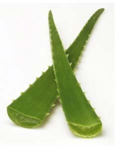 Aloe Vera Juice