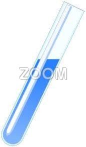 Glass Test Tubes