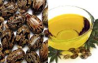 Castor Seed Oil