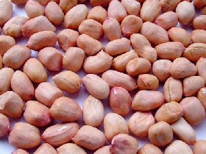 Java Peanut