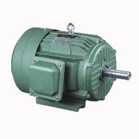 Three Phase Electric Motor