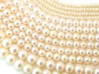 Pearl Beads