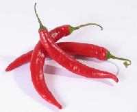 Thai Red Chilly