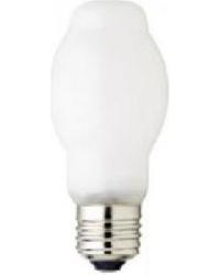 Halogen Bulbs