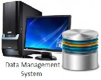 Database Management Services
