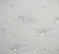Knitted Jacquard Fabric