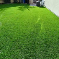 Artificial Grass