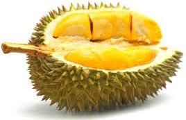 durian fruit