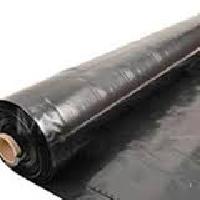 LDPE Sheet Rolls