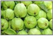 Fresh Guava