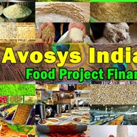 Food Project Finance