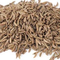 Cumin Seeds