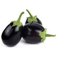 Fresh Brinjal