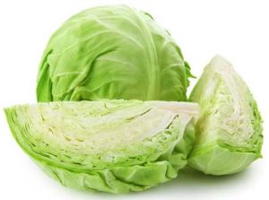 Fresh Cabbage