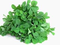 Fenugreek Leaf