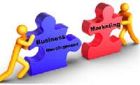 Business Development & Marketing Service
