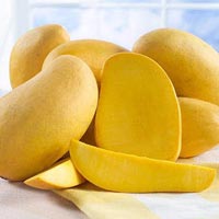 Fresh Mangoes