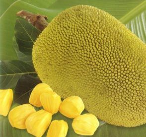 Jackfruit