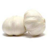 Fresh Garlic