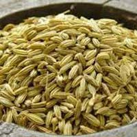 Fennel Seed