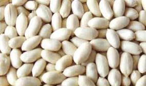 Blanched Peanut Kernels