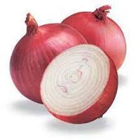 Fresh Onion