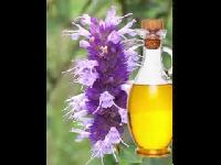 Hyssop Oil