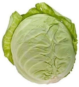 Fresh Cabbage