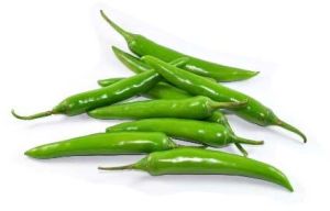 Fresh Green Chilli