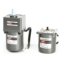 40 Watt Speed Controller Motor
