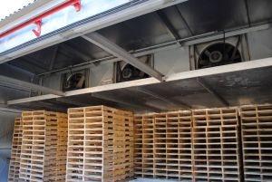 wooden pallets heat treatment