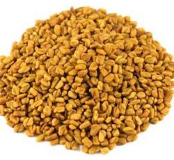 Fenugreek