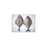 Black Pomfret Fish