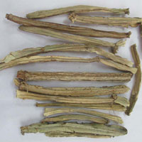 Dried Cissus Quadrangularis