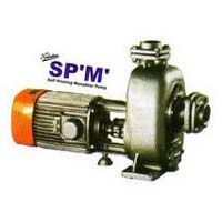 Sewage Pumps