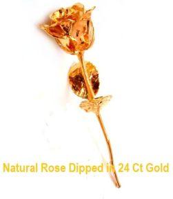 Gold Plated Rose (6")